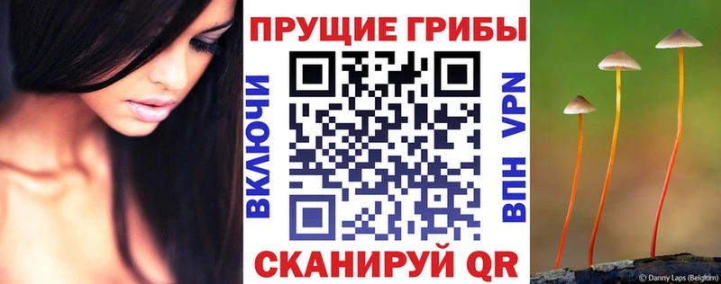 Галлюциногенные грибы мухоморы  kraken зеркало  Поронайск 
